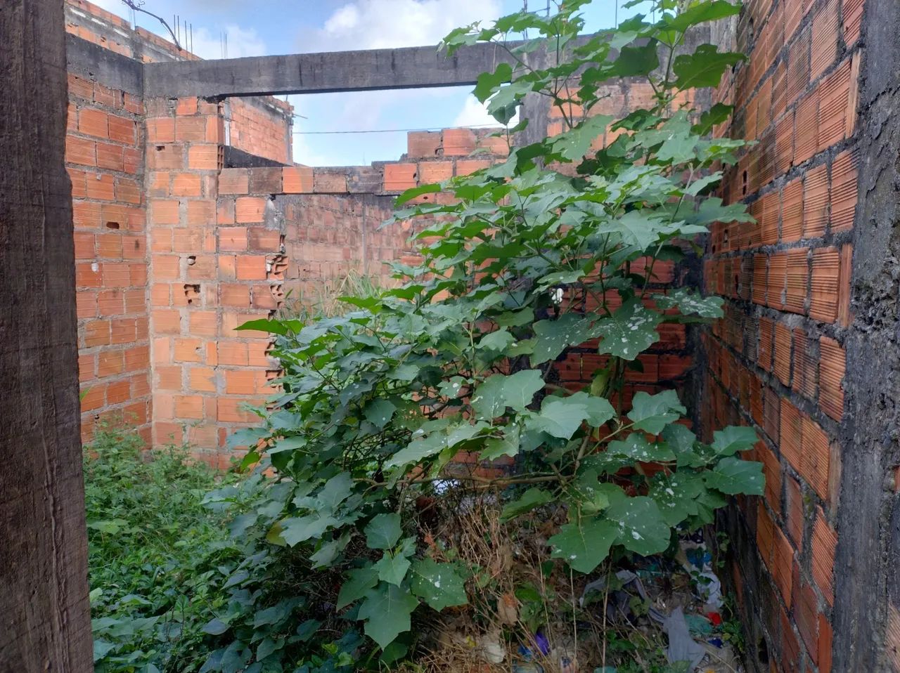 Casa / Terreno em ponto de laje - Periperi - Foto 5