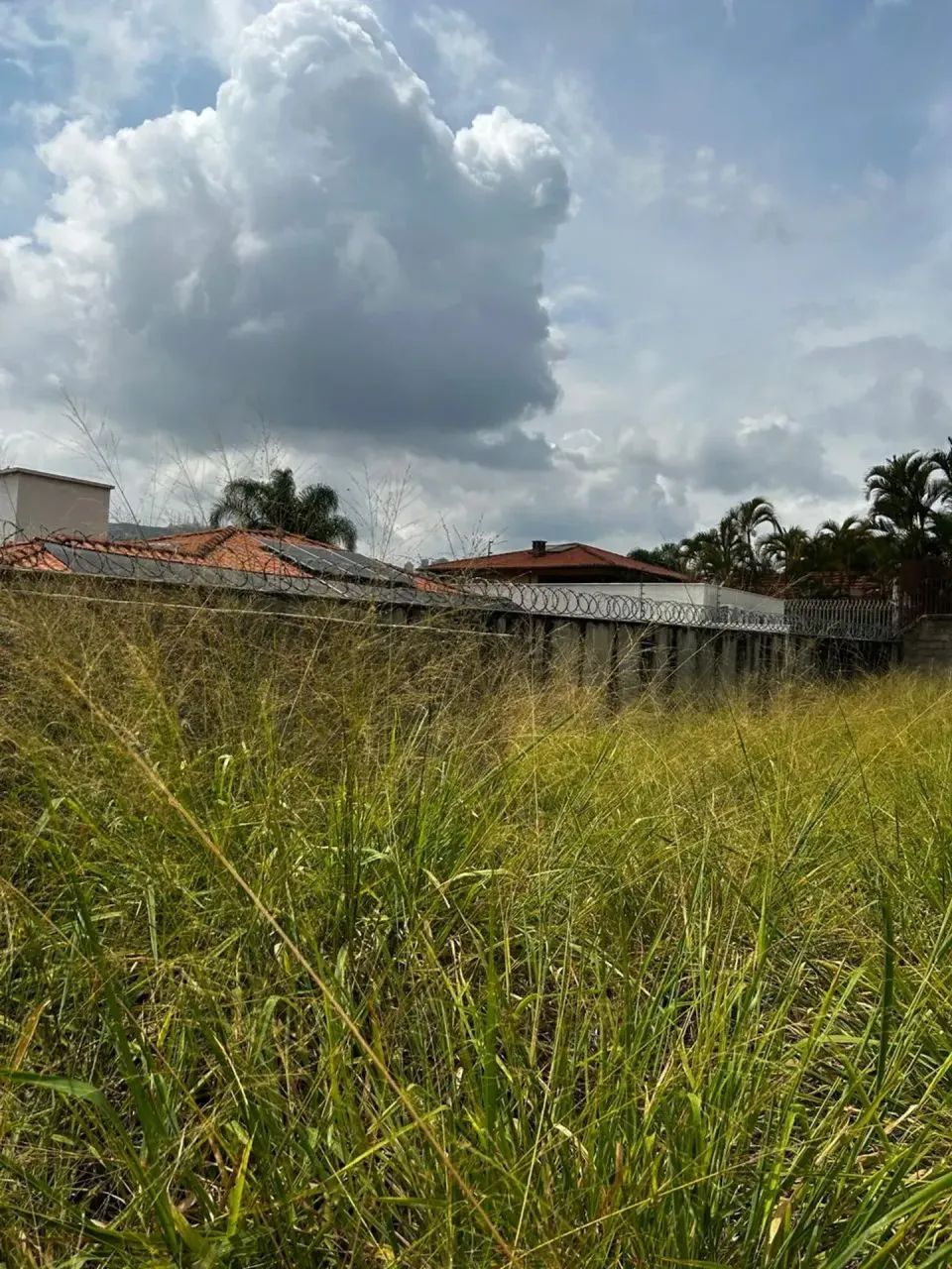 TERRENO SAO BENTO - Foto 4