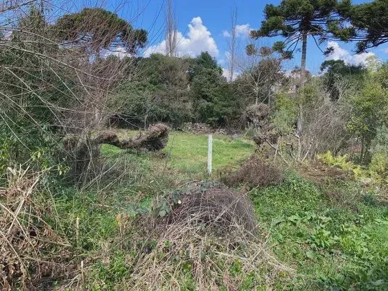 LOTE EM URUPEMA À VENDA - Foto 4