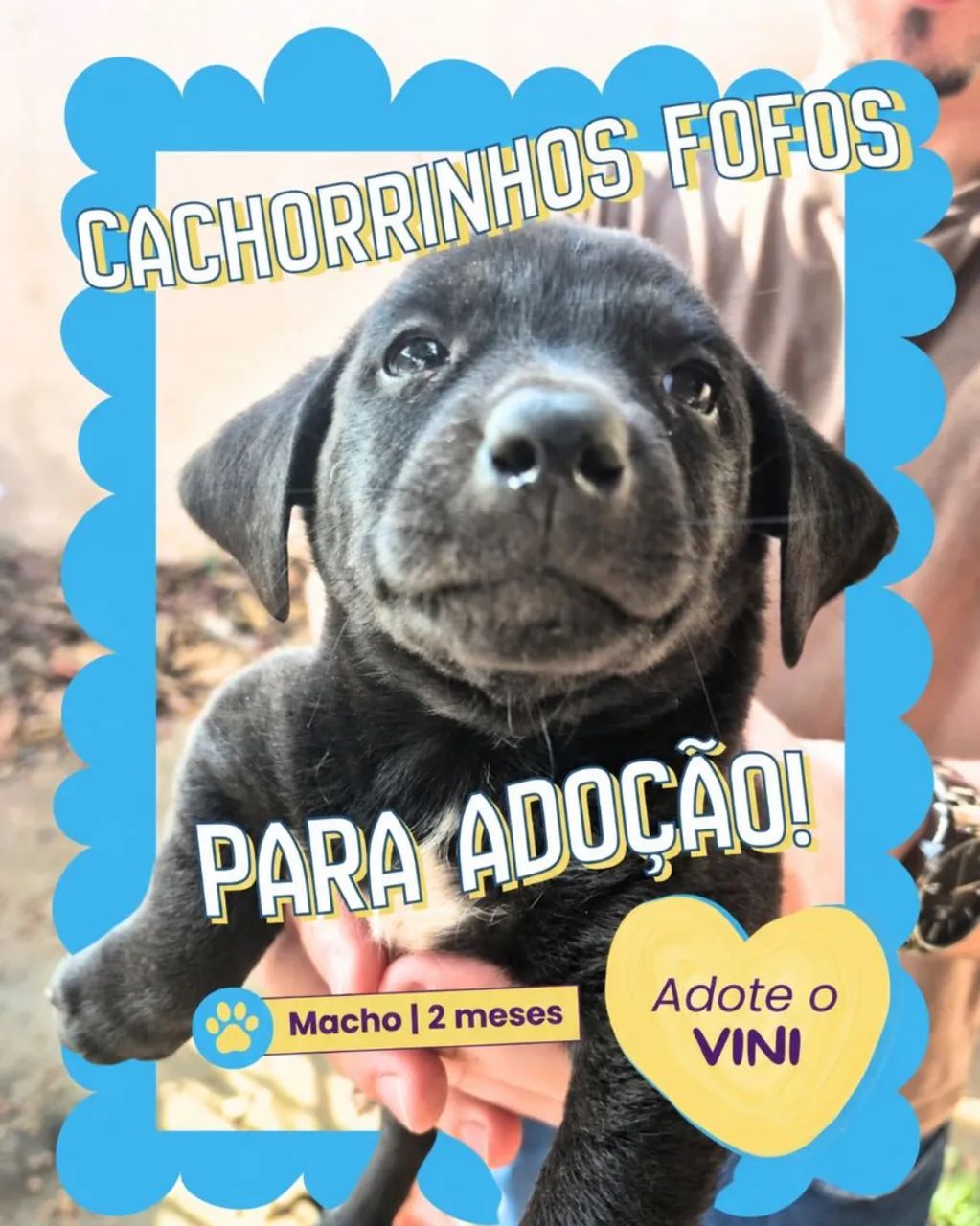 Adoção 