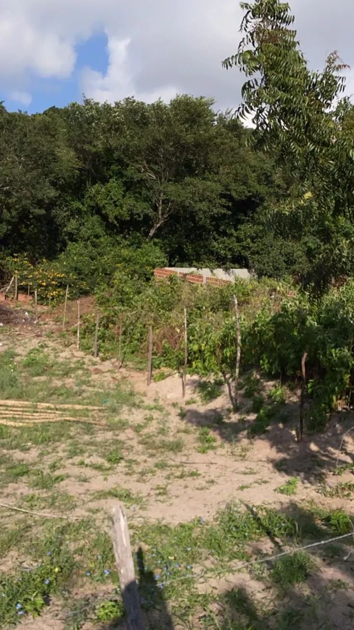 Vendo terreno em Pipa  - Foto 2