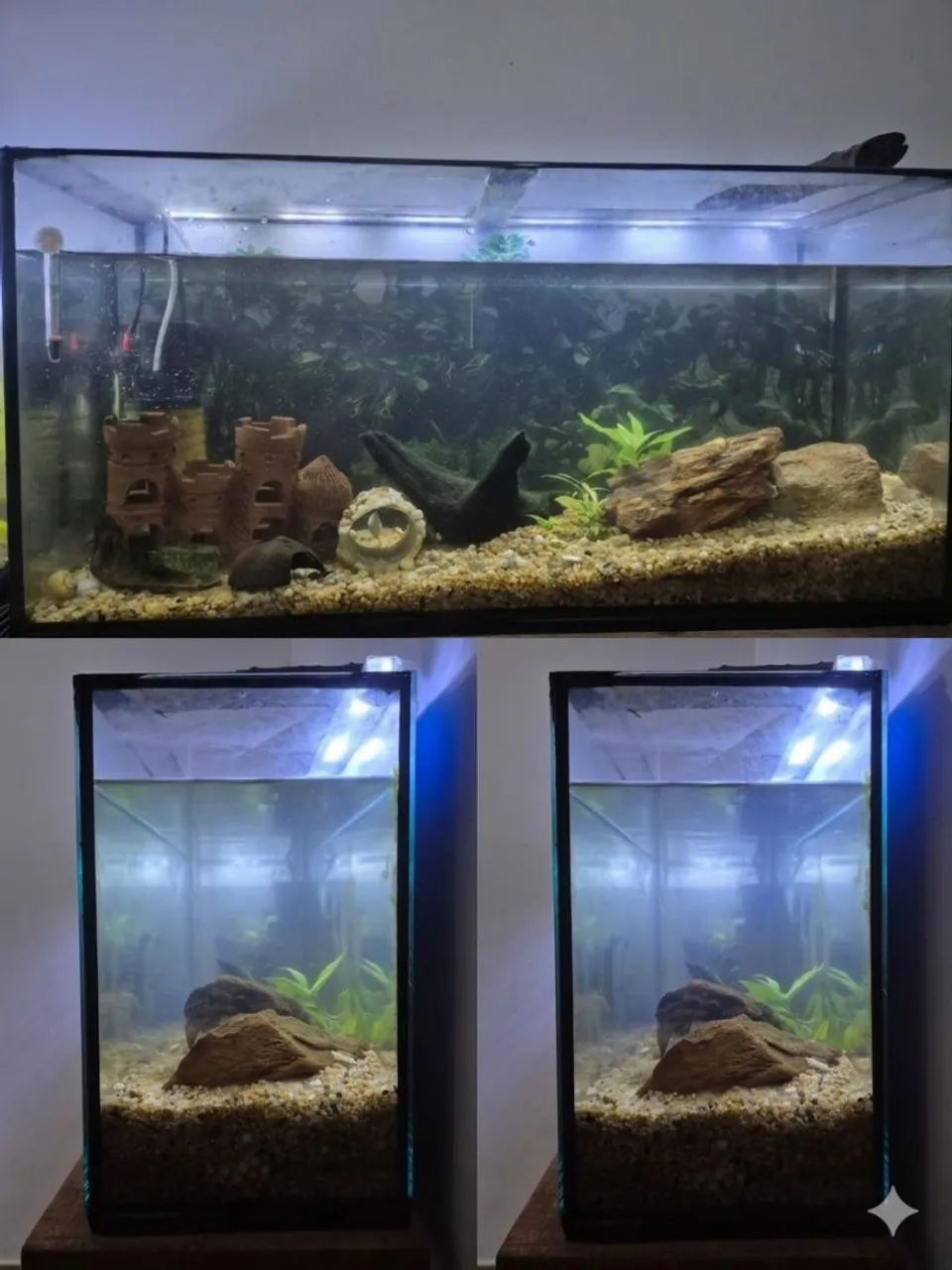 Aquário completo 80 litros 