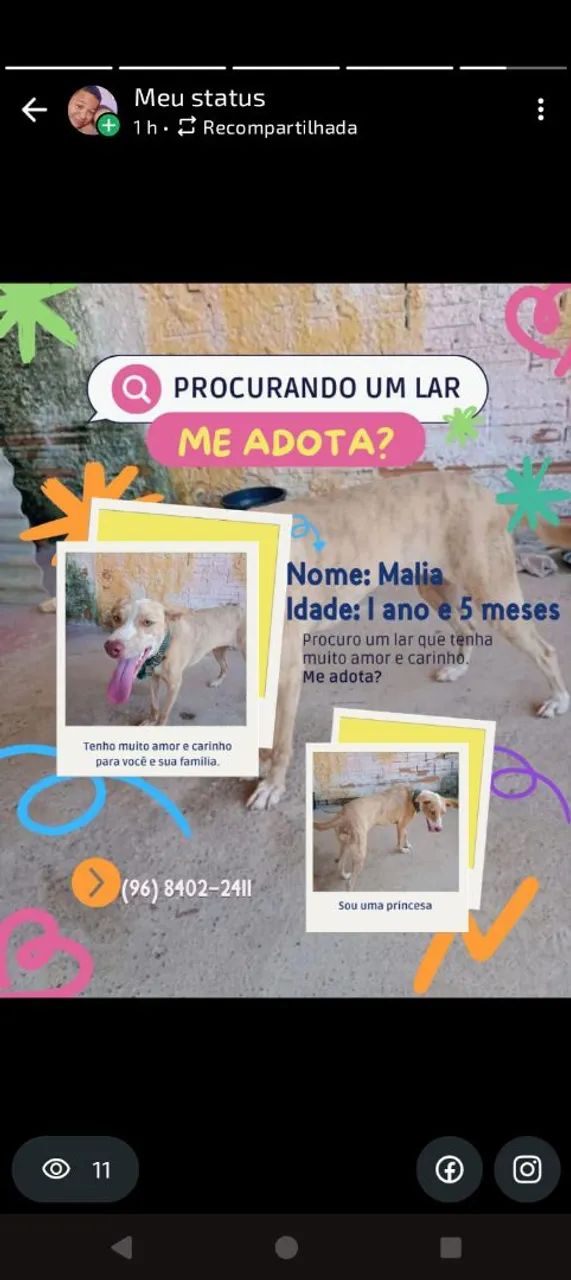 Estou doando essa cadelinha