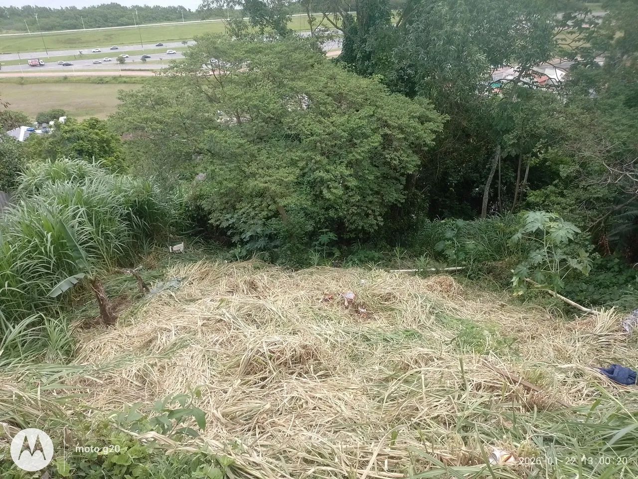 Terreno na Costeira - Foto 3