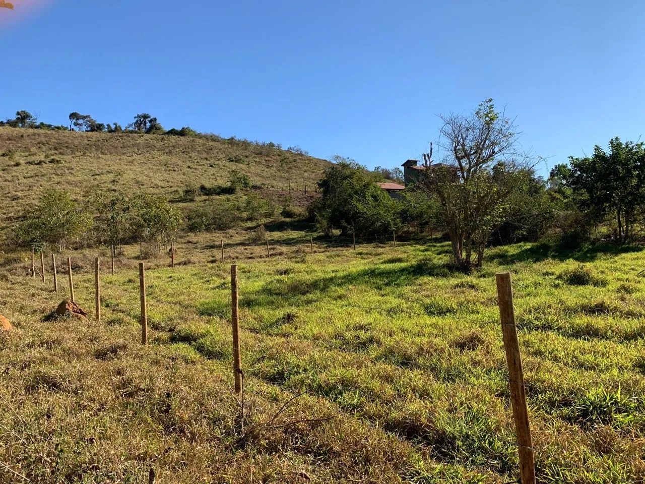 Granja no Piau divisa com Goianá  - Foto 2
