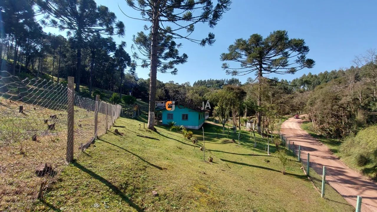 CHACARA RURAL em Campo Largo - PR, Retiro - Foto 3