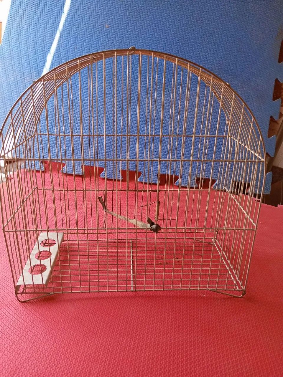 Gaiolas de ferro 2,e 1 de fibra  - Foto 5