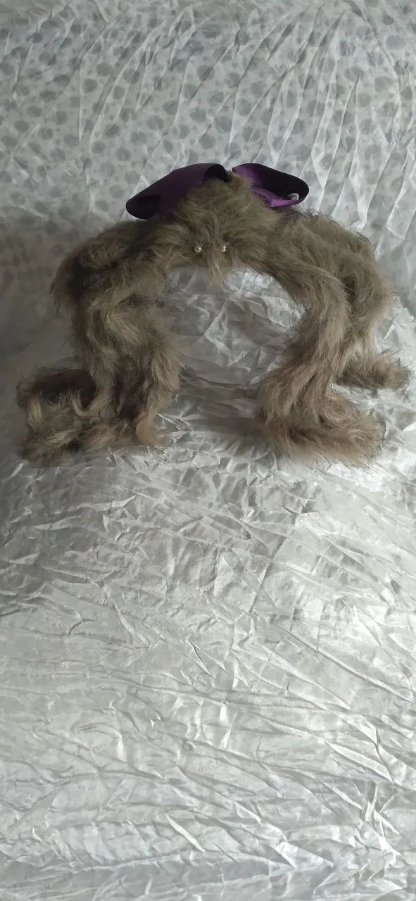 Aranha Peluda