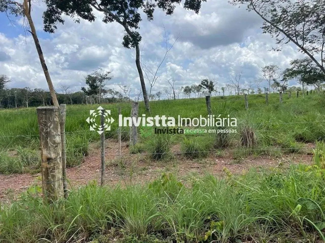 Fazenda de 117 alqueires com topografia plana em Divinópolis - Foto 2