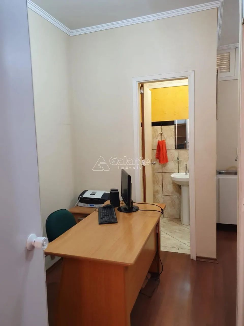 sala - Centro - Campinas - Foto 5
