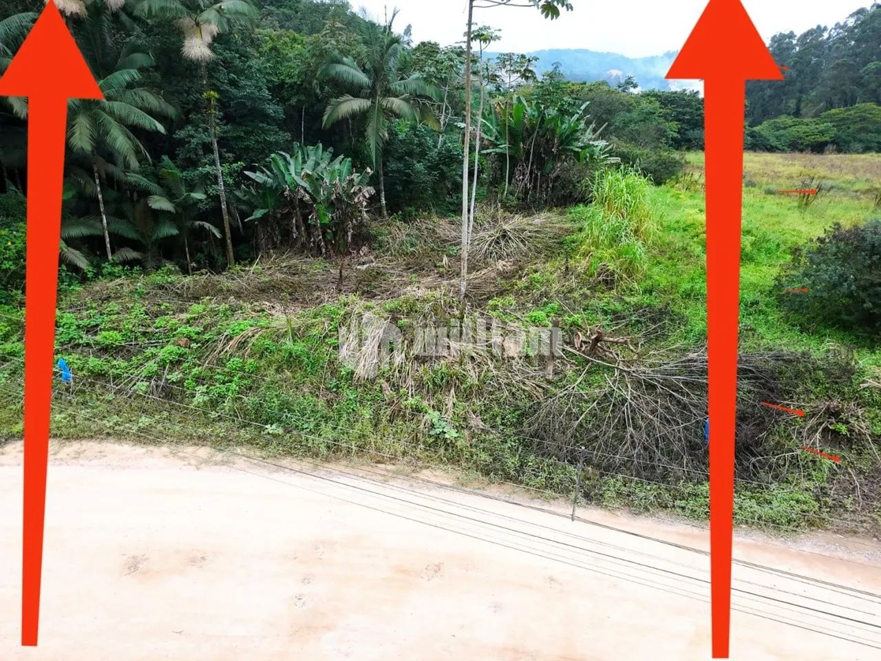 TERRENO NO BAIRRO BATEAS - Foto 3