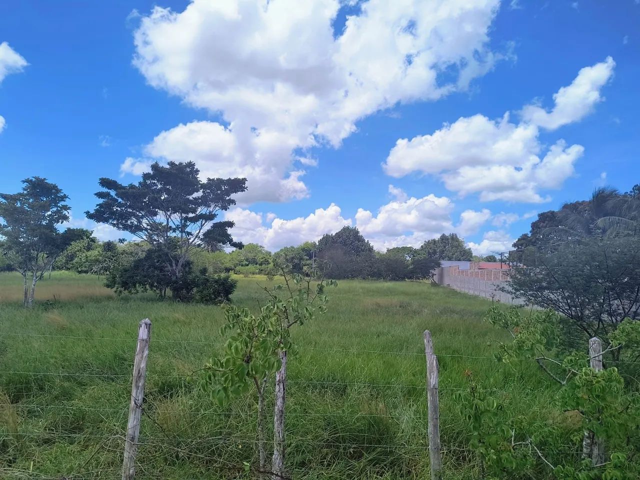 Terreno em Conceição do jacuipe - Foto 2