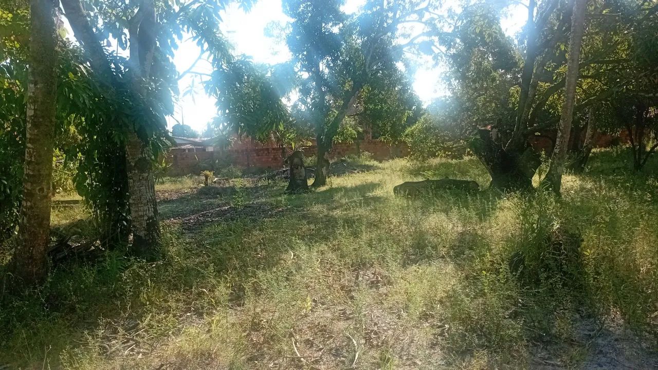 Terrenos - Foto 5