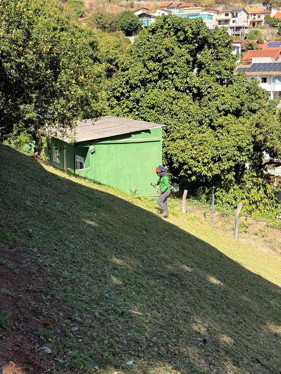 Serviços de Jardinagem  - Foto 5