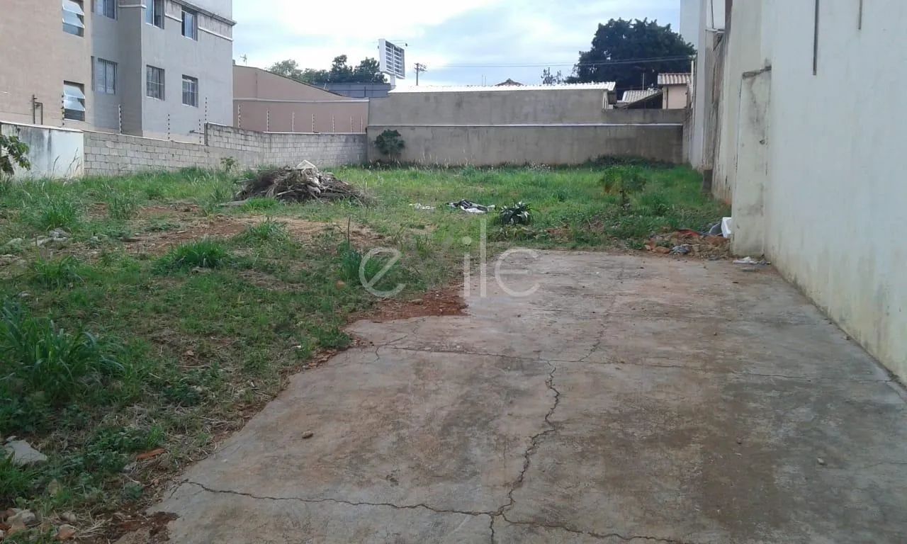 terreno - Bonfim - Campinas - Foto 4