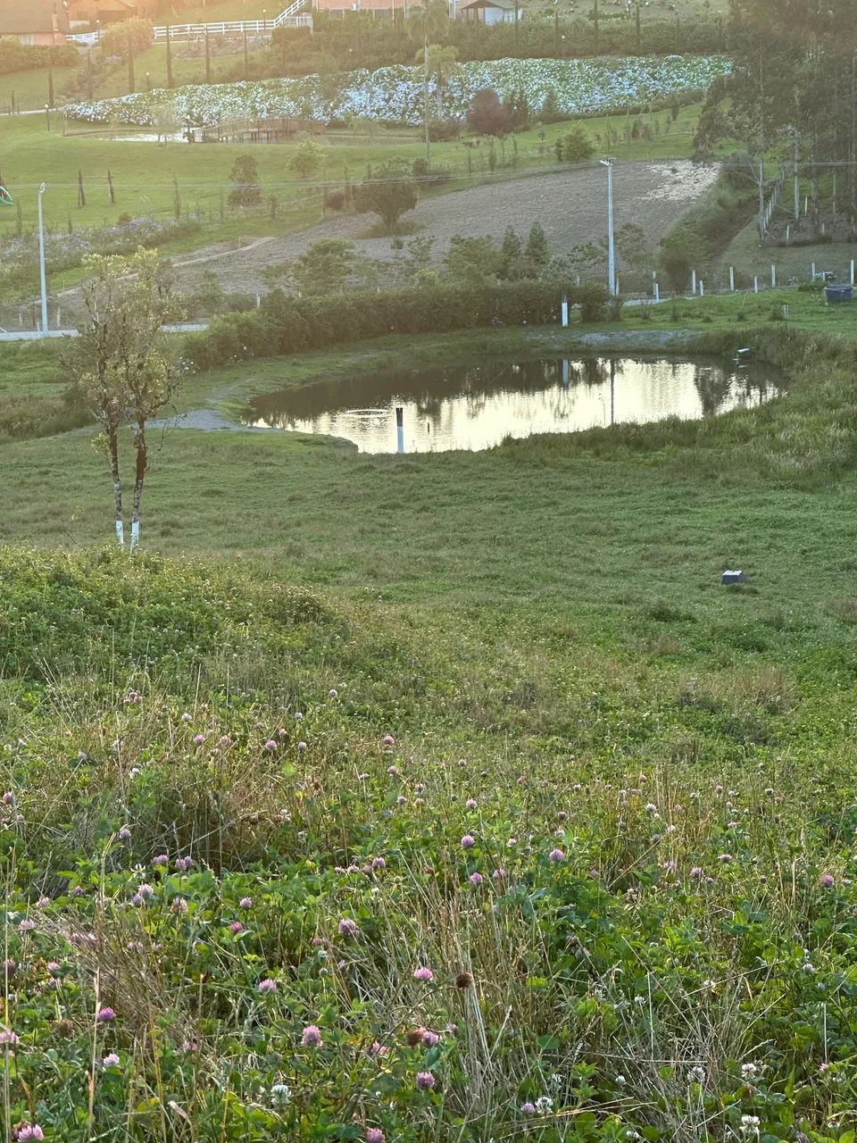 Vendo terreno com casa é galpão em Rancho Queimado  - Foto 2