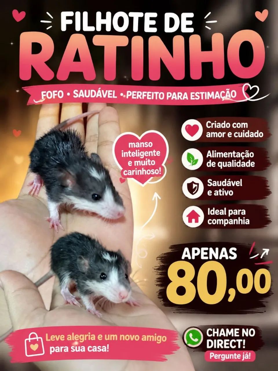 Rato Twister! 