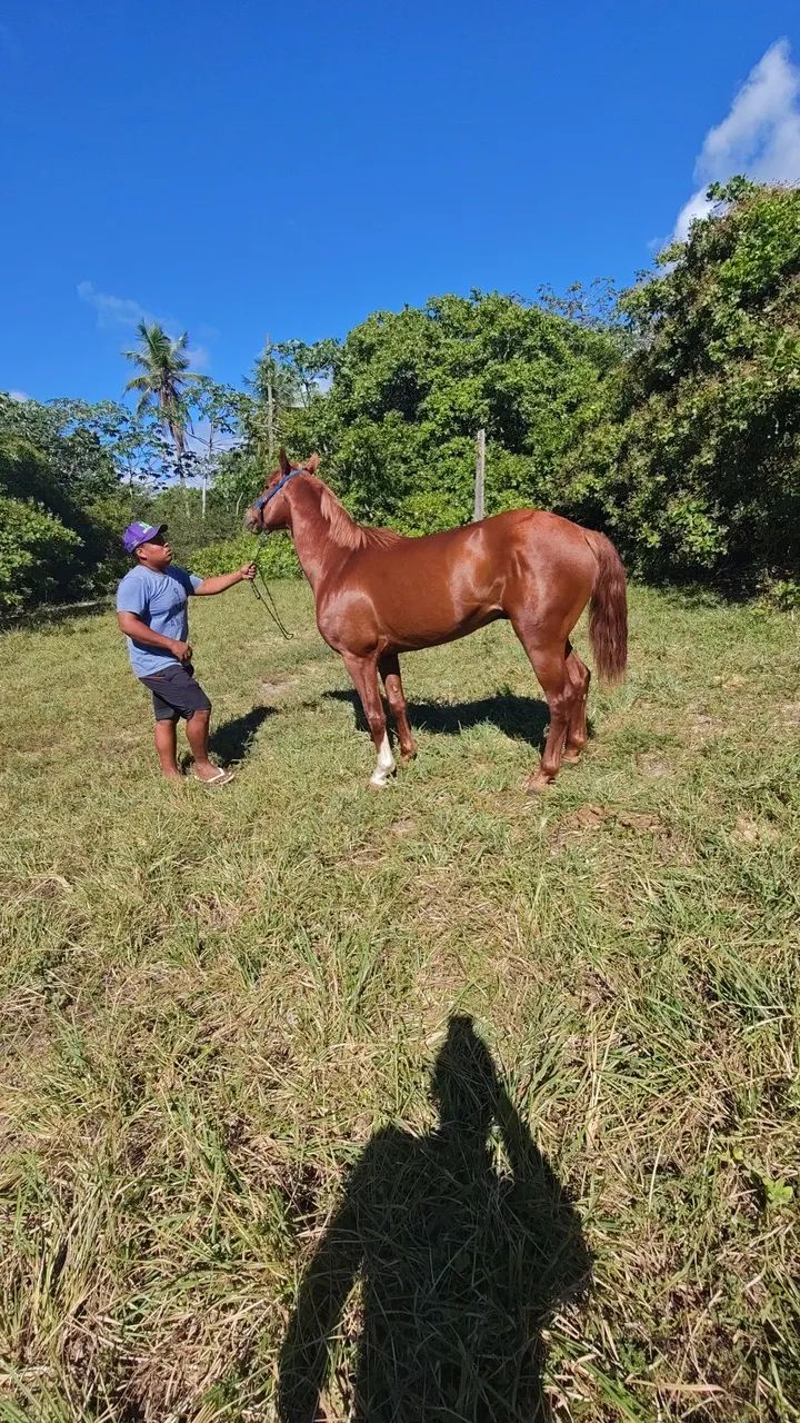 Vendo ou troco  - Foto 3
