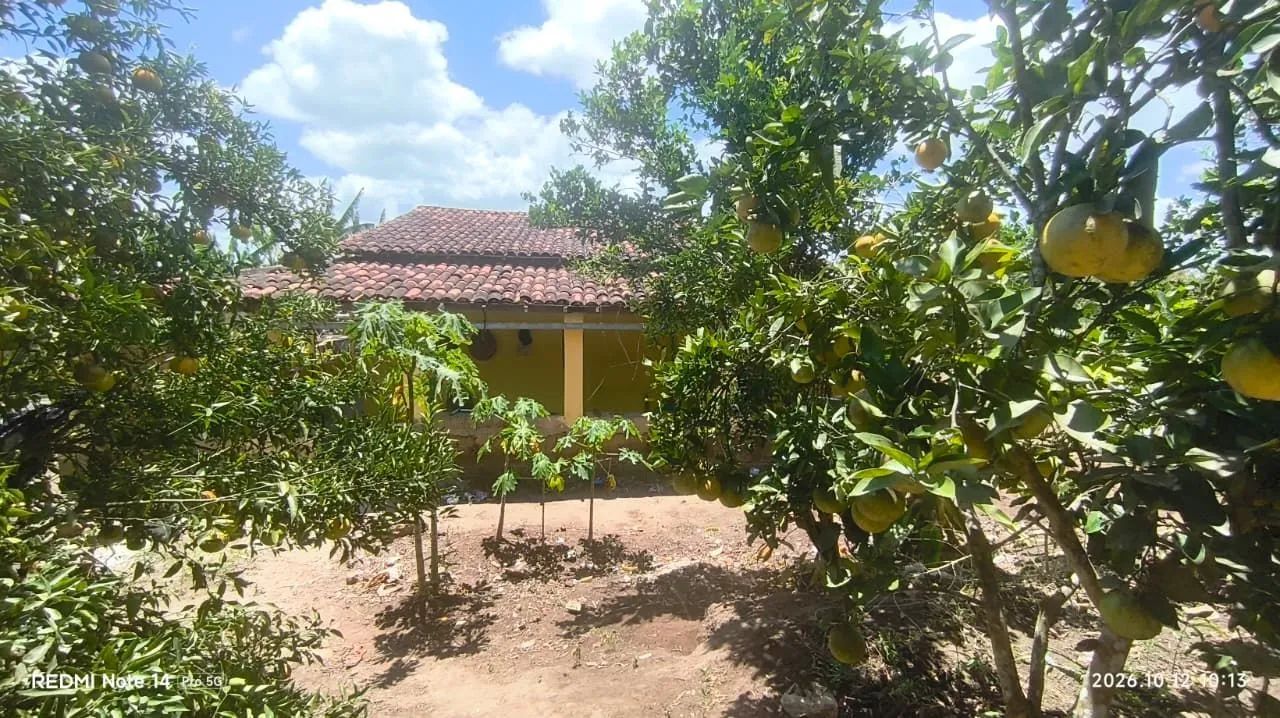SÍTIO À VENDA EM MATINHAS - PB! ? - Foto 2