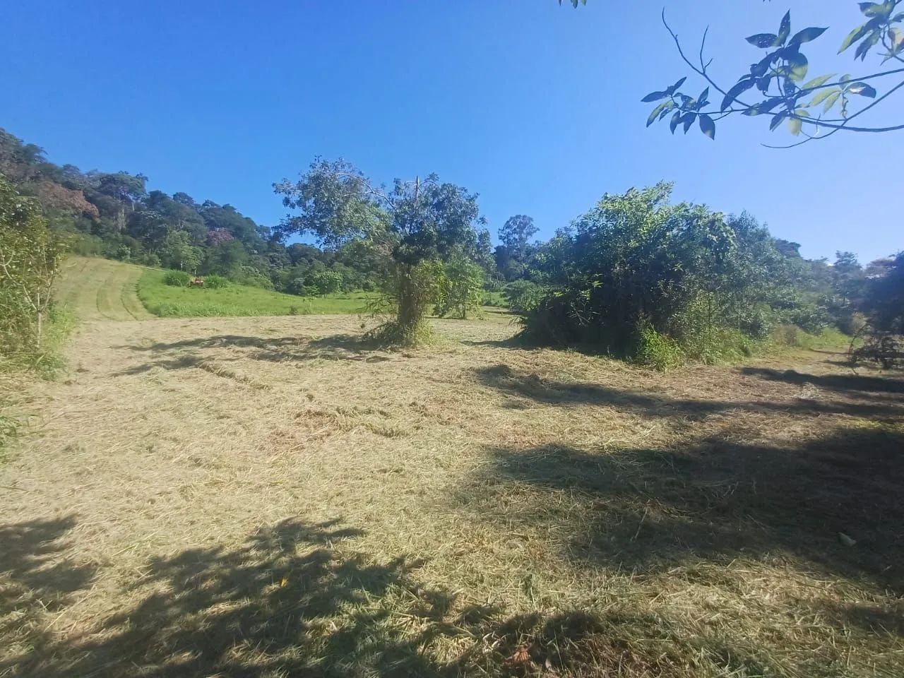 Sítio em Vila Moraes com 33 mil m2  - Foto 2