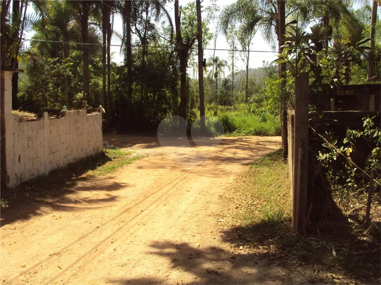 Sítio Estrada Santa Catarina 27.000 m² Cruz das Almas - Biritiba Mirim SP - Foto 2