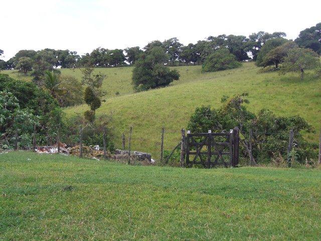 Fazenda com Aproximadamente 180 Hectares (Cód.: 838bdf)