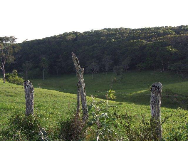 Fazenda com 700 Hectares em Barra de Guabiraba (Cód.: f20568) - Foto 10