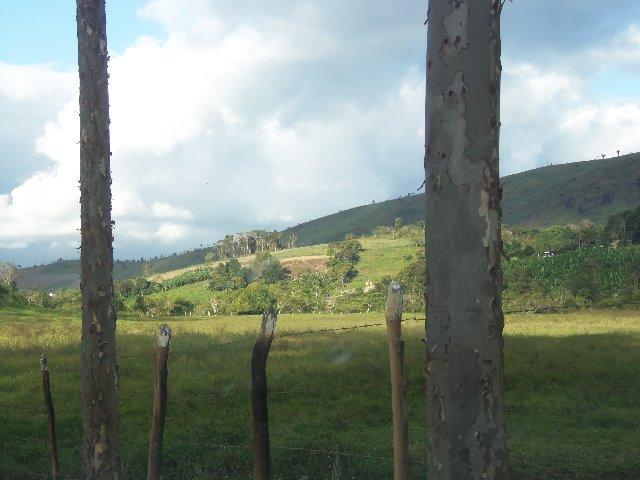 Fazenda com 700 Hectares em Barra de Guabiraba (Cód.: f20568) - Foto 12