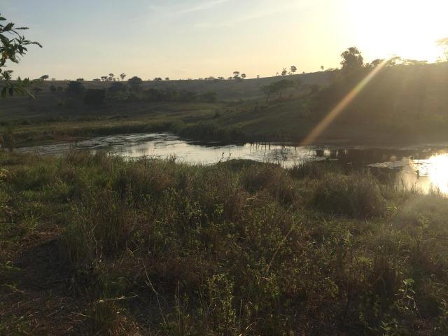 Fazenda em Itagimirim Sul da Bahia - Foto 9