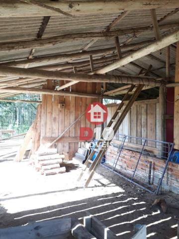 Chácara com 4 dormitórios à venda, 36000 m² por R$ 500.000 - Vila Santa Catarina - São Joã - Foto 6