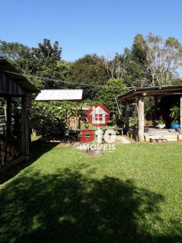 Chácara com 4 dormitórios à venda, 36000 m² por R$ 500.000 - Vila Santa Catarina - São Joã - Foto 8