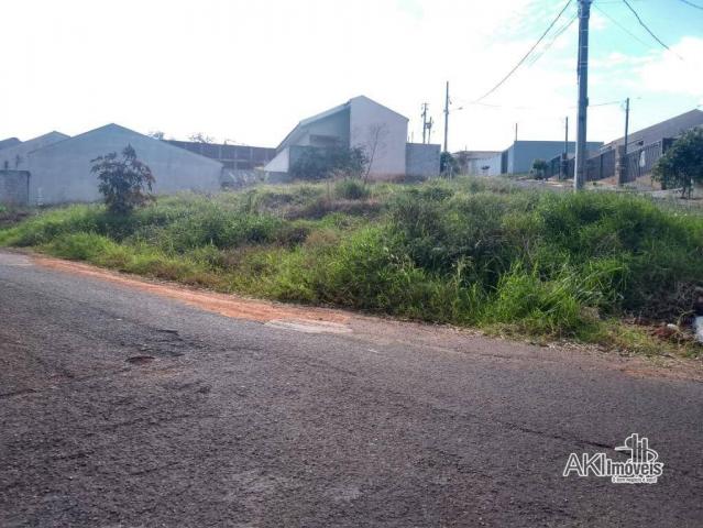 Terreno à venda, 154 m² por R$ 35.000 - Jardim Ana Lígia - Mandaguaçu/PR - Foto 3