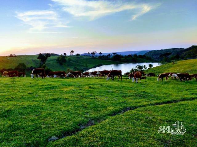 Fazenda à venda, 2699994 m² por r$ 6.500.000 - rural - reserva do iguaçu/pr