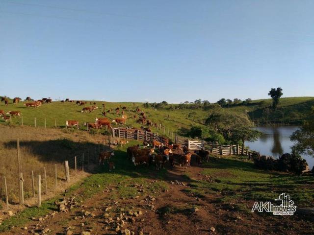 Fazenda à venda, 2699994 m² por r$ 6.500.000 - rural - reserva do iguaçu/pr - Foto 4