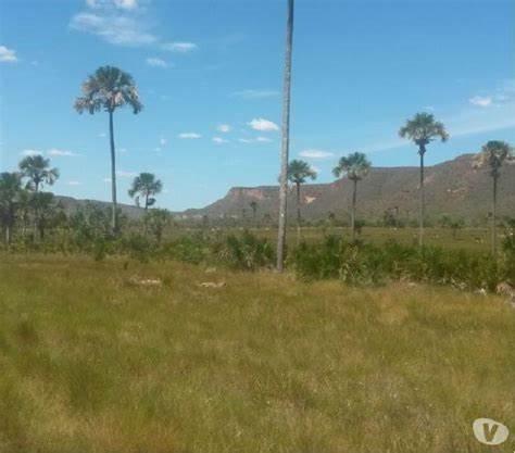Fazenda em Mirador Maranhao 510 hectares