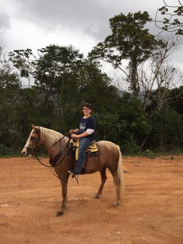 Cavalo Marchador - Marcha picada com velocidade de aproximadamente 40 Km/h