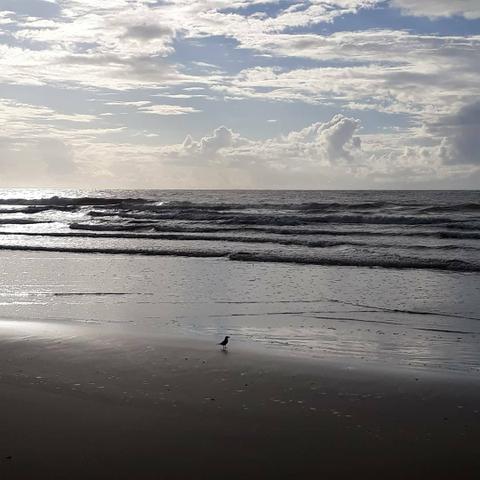 Praia do Guaimbim Pacote Cinco dias Carnaval. - Foto 18