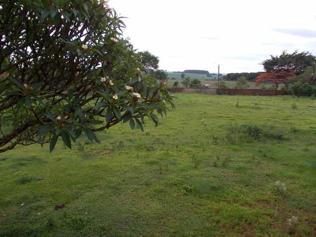 Vendo 2 terreno de 10x25 cada Jd Amauri Assis SP - Foto 2