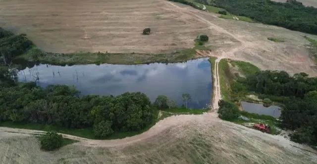 Fazenda de 110 alqueires em Pires do Rio-GO - Foto 2