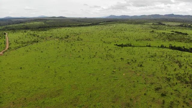 Fazenda 770 alqueires em Vila Propricio-Go