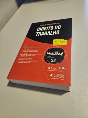 Direito Do Trabalho - Teoria E Prática: Cleize Kohls e Luiz