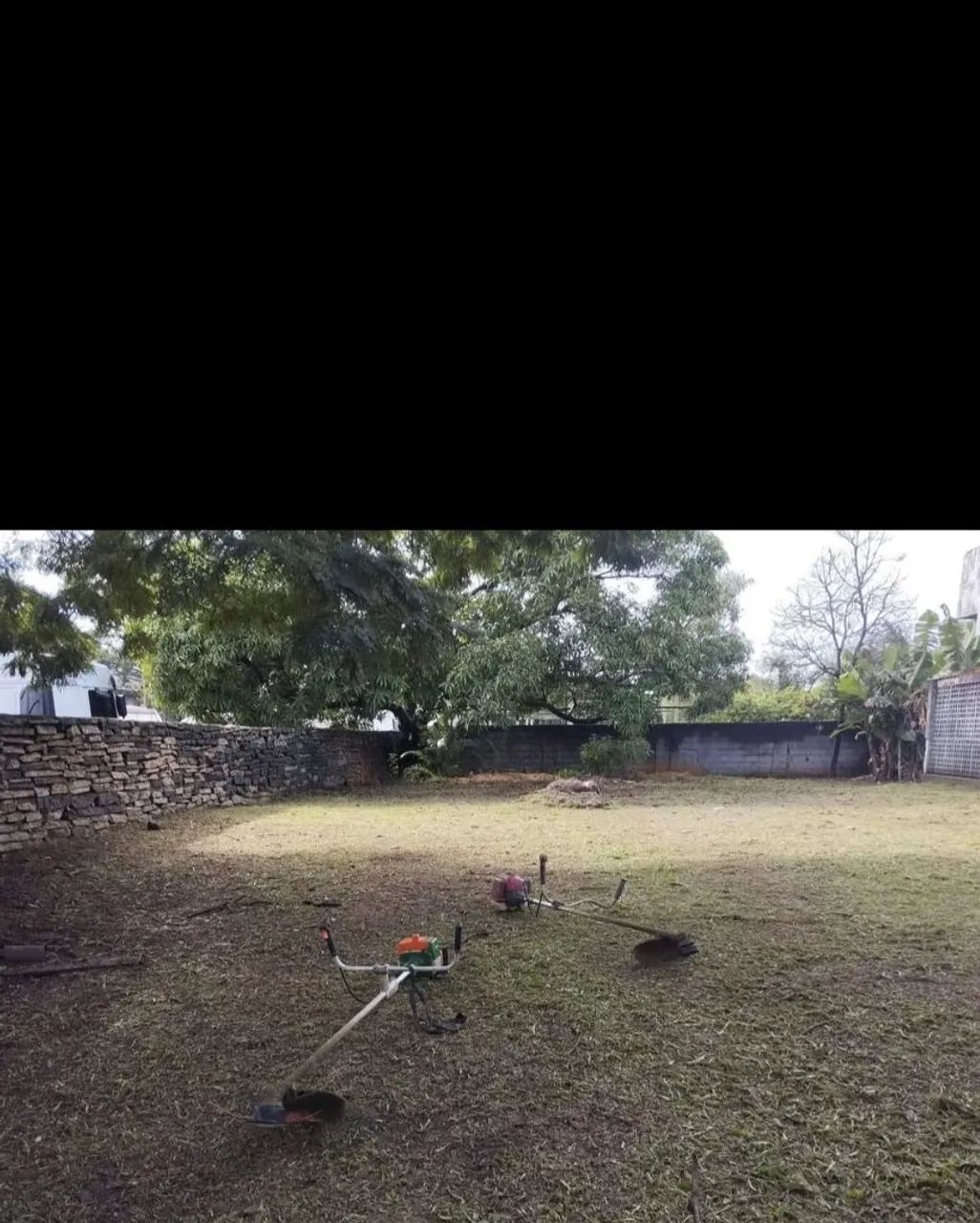 Limpeza de terrenos  - Foto 3