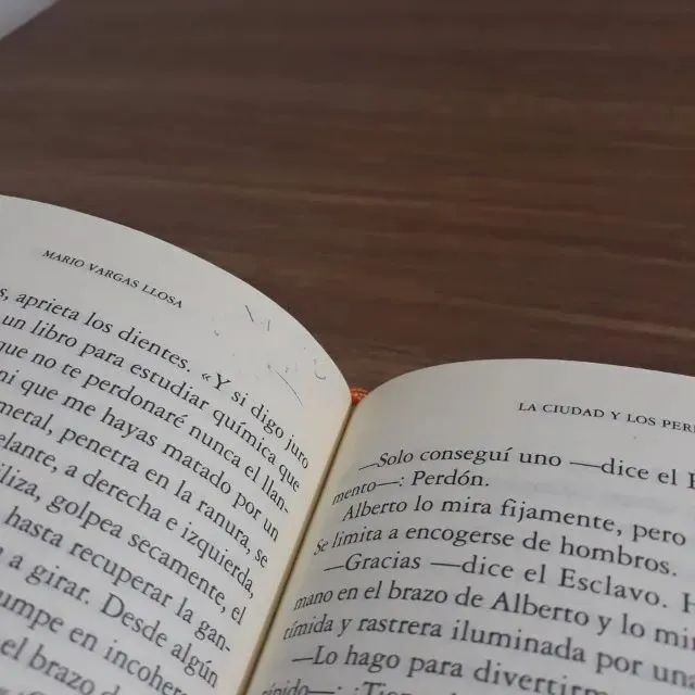 Livro "La ciudad y los perros", de Mario Vargas Llosa - Foto 5