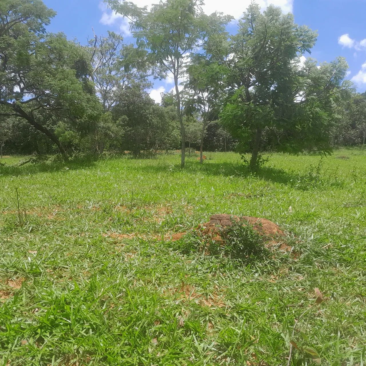 Terreno com área verde em ótima localização - Foto 5
