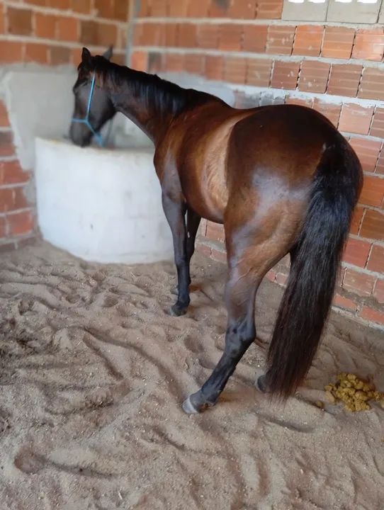 Só entro em contato se tiver interesse - Foto 5