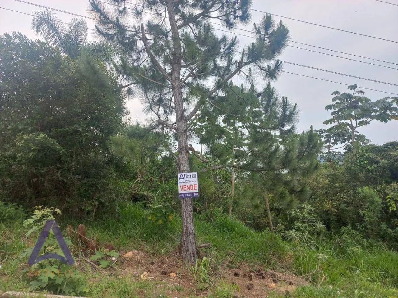 Terreno à venda, 444 m² por R$ 500.000,00 - Ribeirão da Ilha - Florianópolis/SC