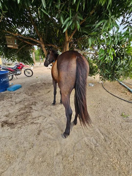 Só entro em contato se tiver interesse