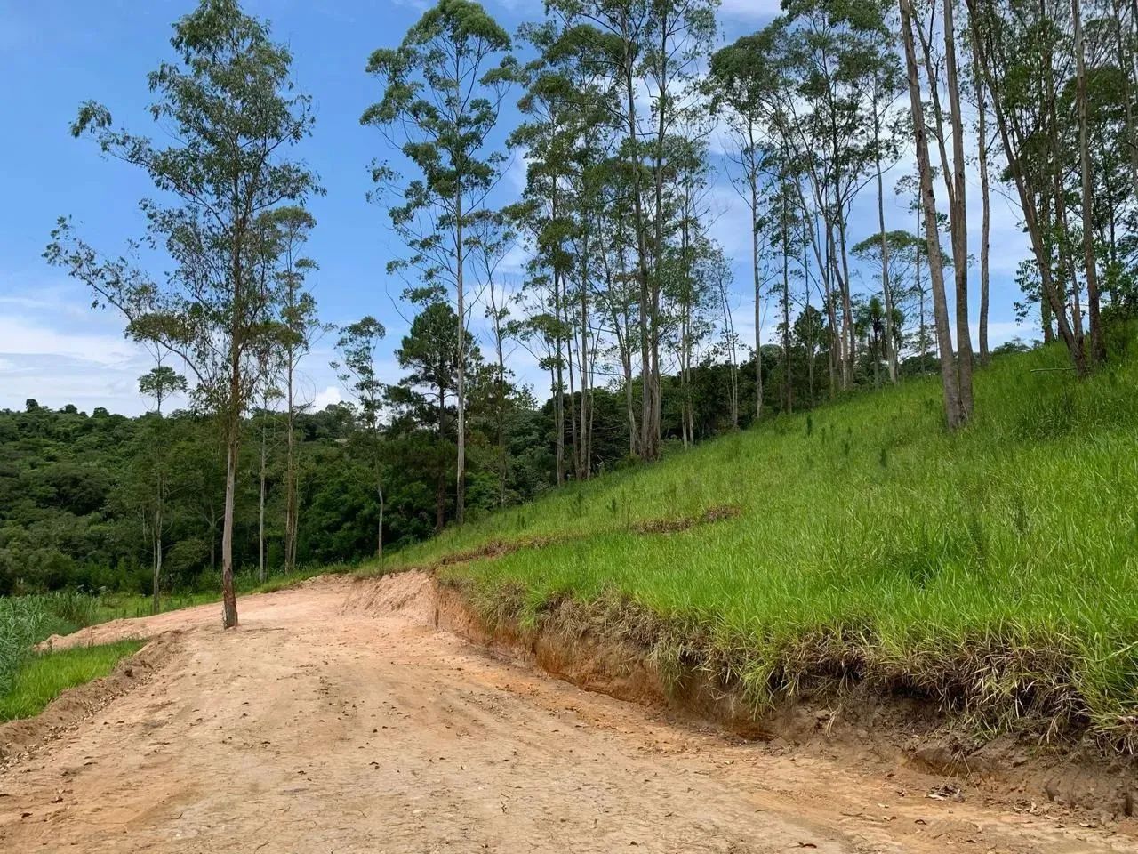 Lote dos Sonhos! Terreno de 500m² com vista para lago em área verde. Agende sua visita! - Foto 2