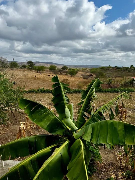 Sítio com casa em área tranquila - Foto 5