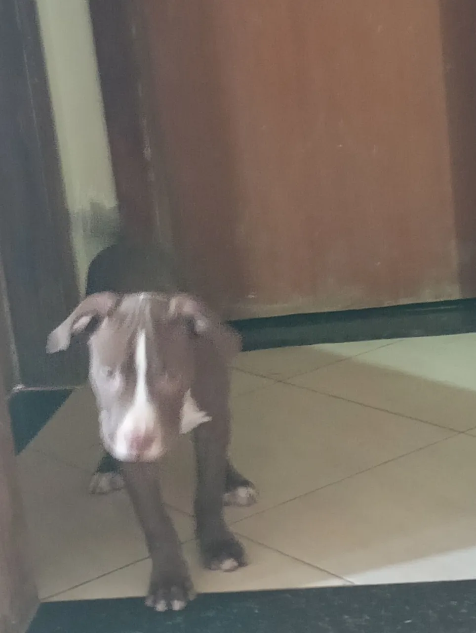Se vende